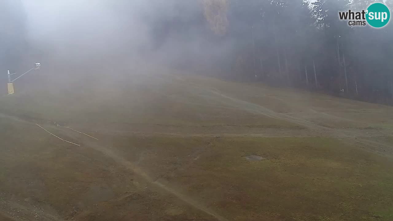 Webcam Pohorje Trikotna Jasa | Poštela