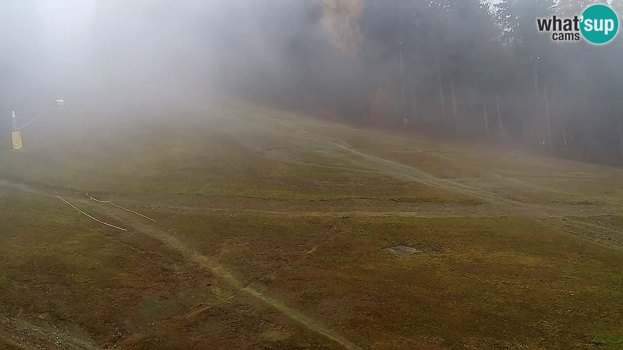 Web Camera Pohorje Trikotna Jasa | Poštela