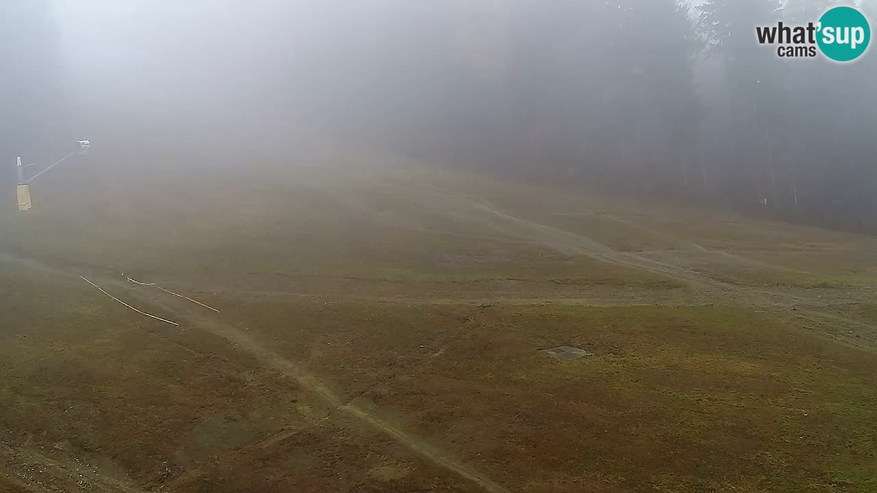 Webcam Pohorje Trikotna Jasa | Poštela