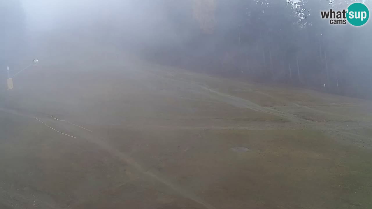 Webcam Pohorje Trikotna Jasa | Poštela