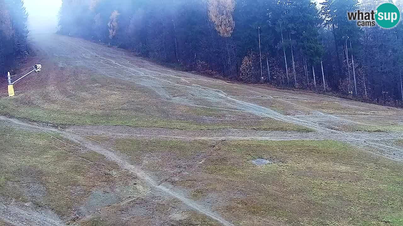 Web Camera Pohorje Trikotna Jasa | Poštela