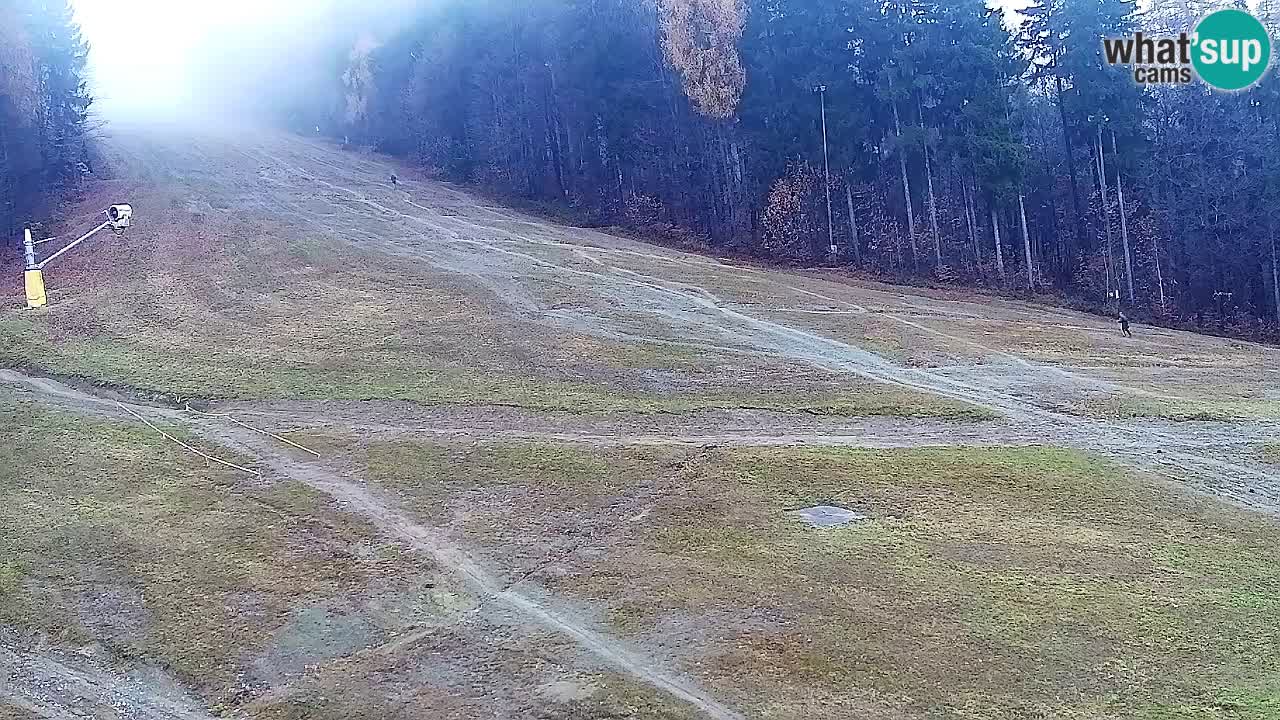 Web kamera Pohorje Trikotna Jasa | Poštela