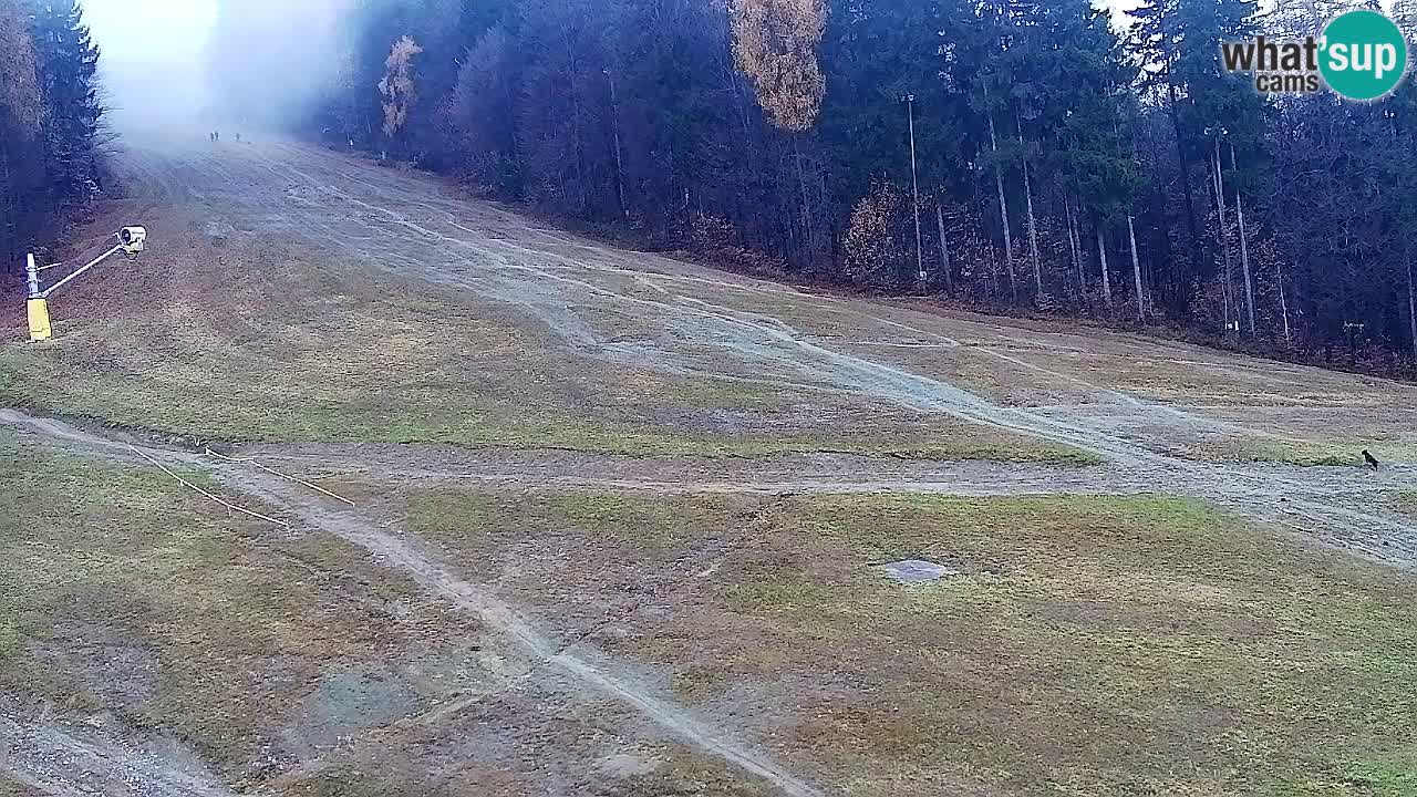 Webcam Pohorje Trikotna Jasa | Poštela