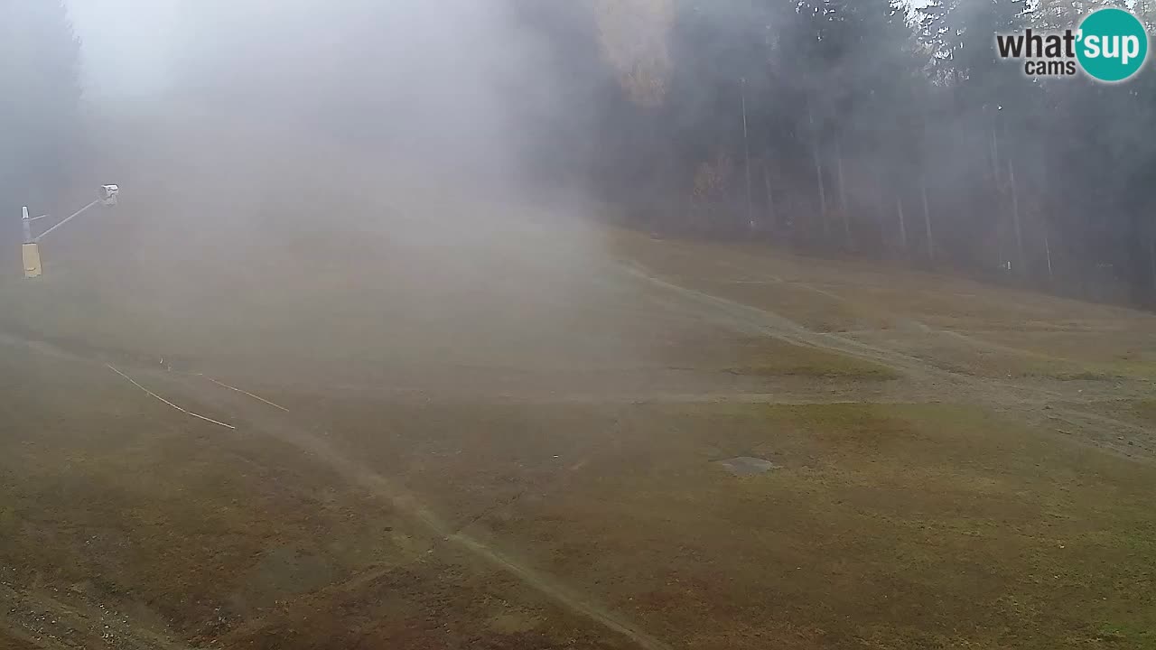 Webcam Pohorje Trikotna Jasa | Poštela