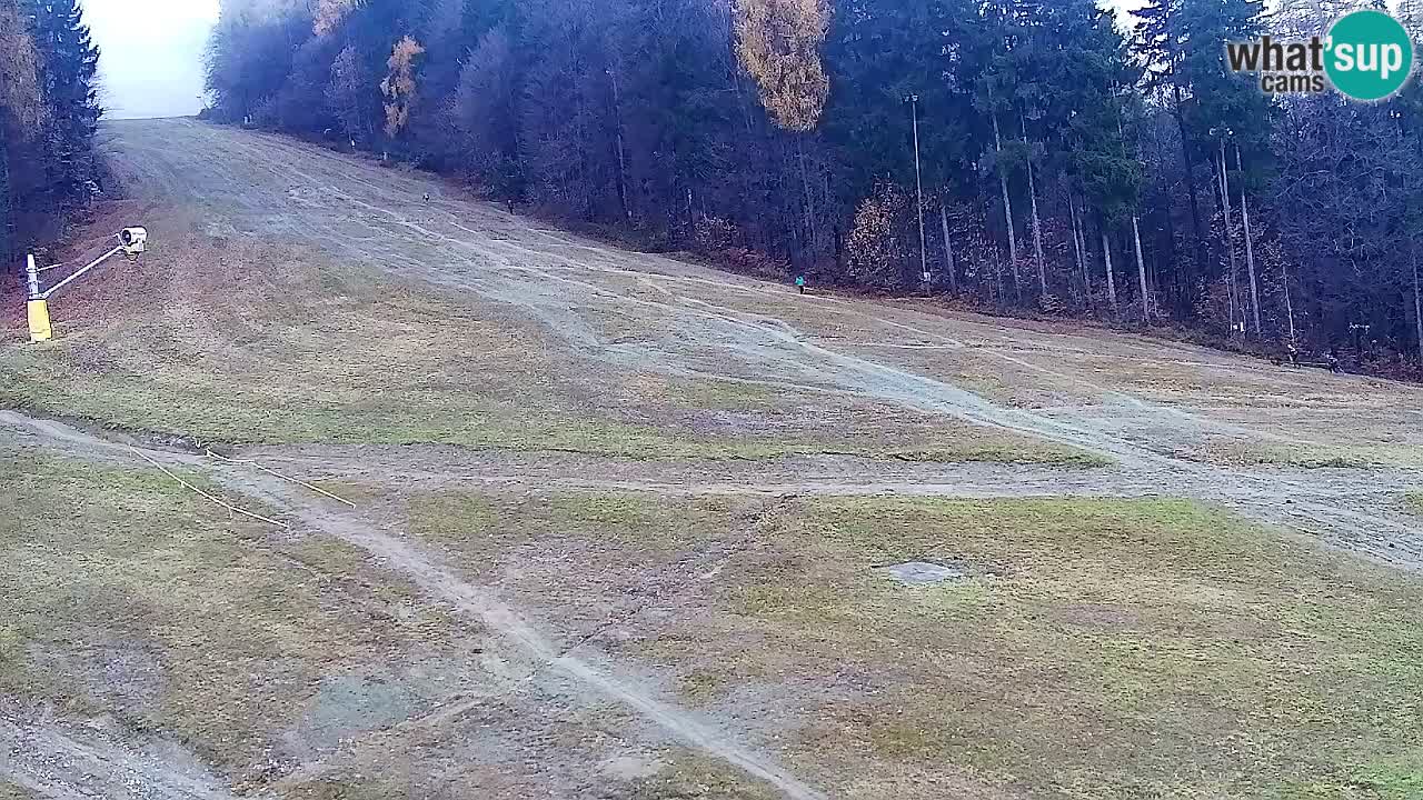 Web Camera Pohorje Trikotna Jasa | Poštela