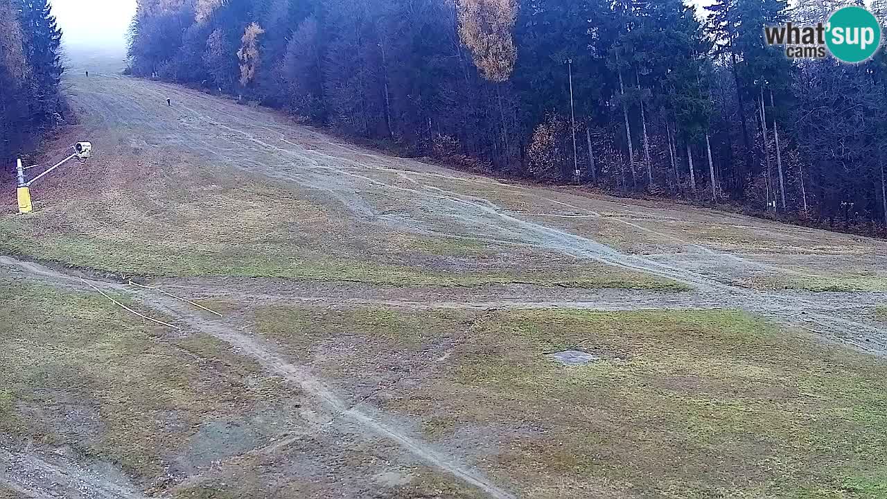 Webcam Pohorje Trikotna Jasa | Poštela
