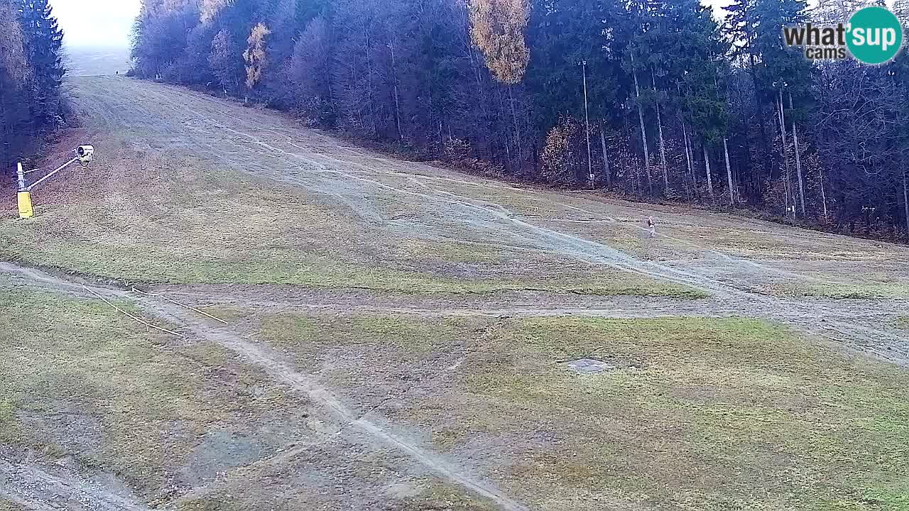 Spletna Kamera Pohorje Trikotna Jasa | Poštela