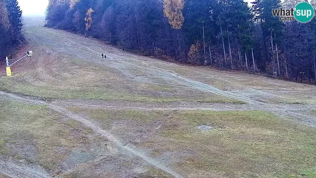 Webcam Pohorje Trikotna Jasa | Poštela