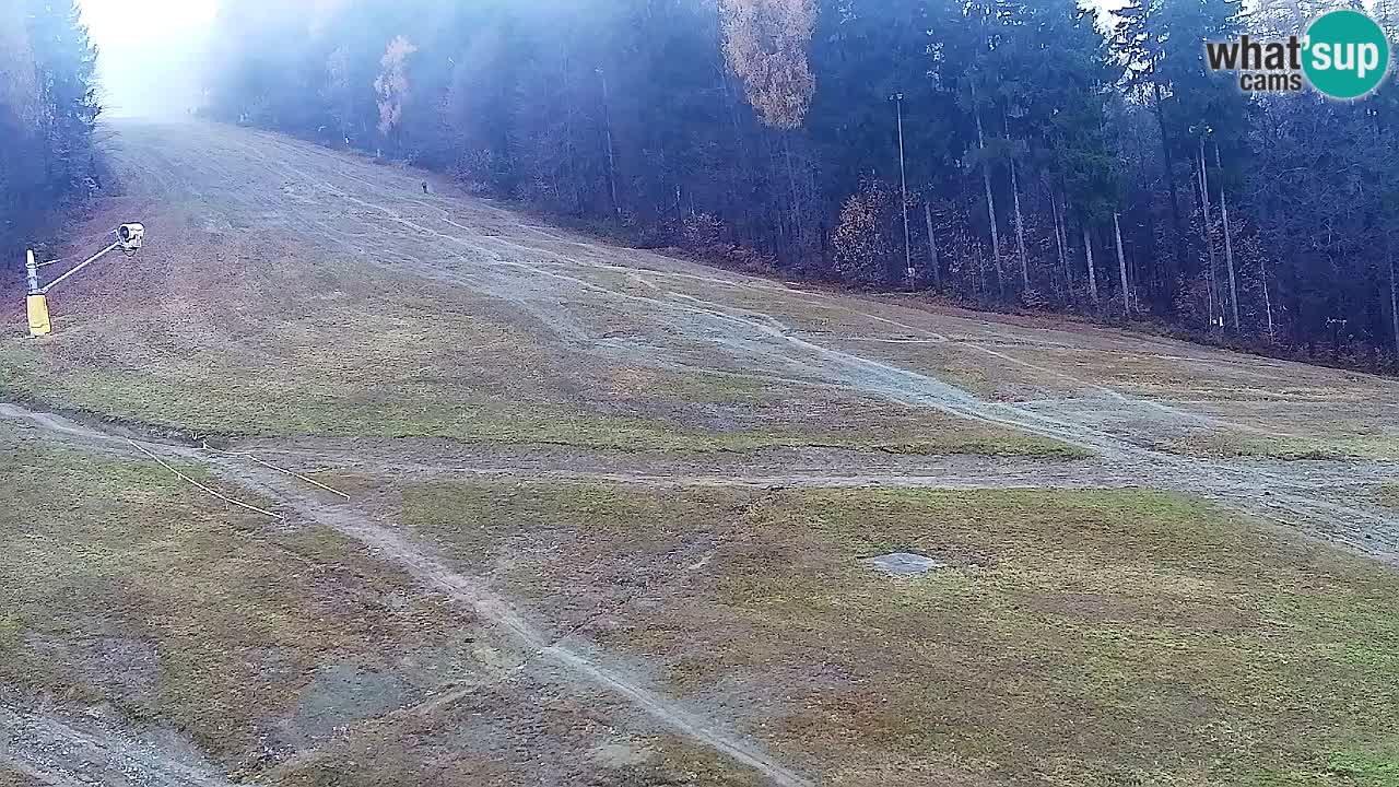 Webcam Pohorje Trikotna Jasa | Poštela