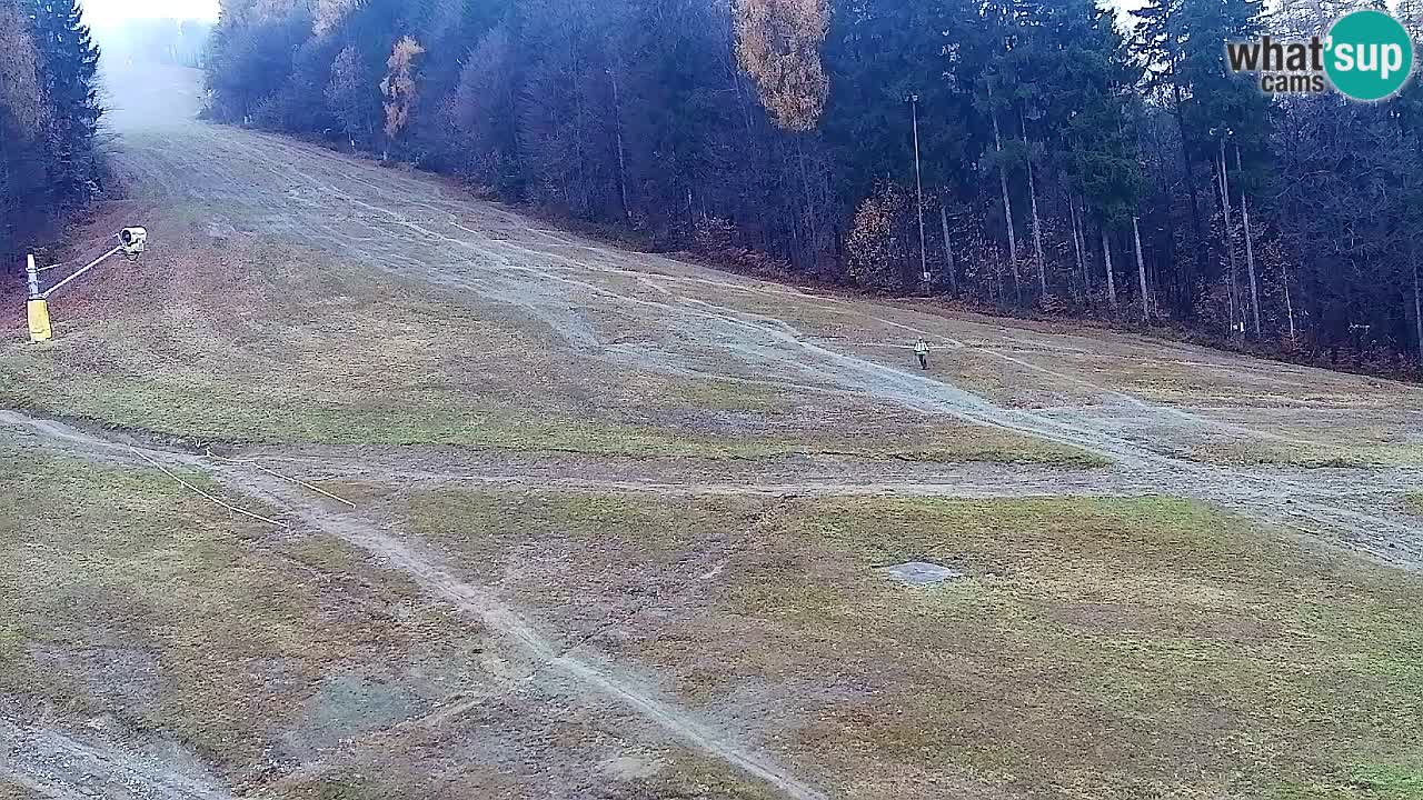 Webcam Pohorje Trikotna Jasa | Poštela