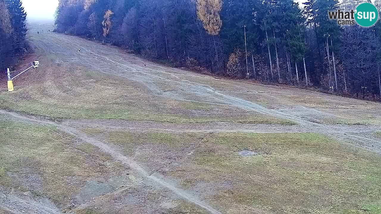 Webcam Pohorje Trikotna Jasa | Poštela