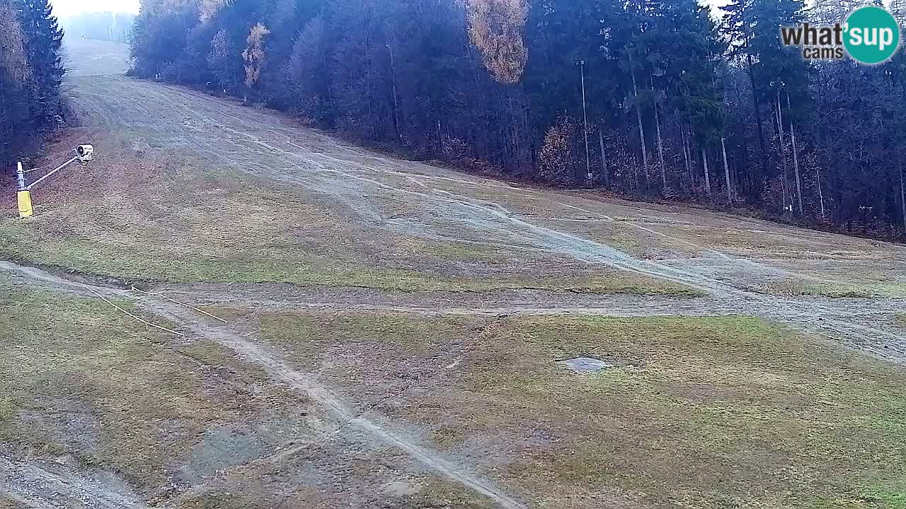 Webcam Pohorje Trikotna Jasa | Poštela