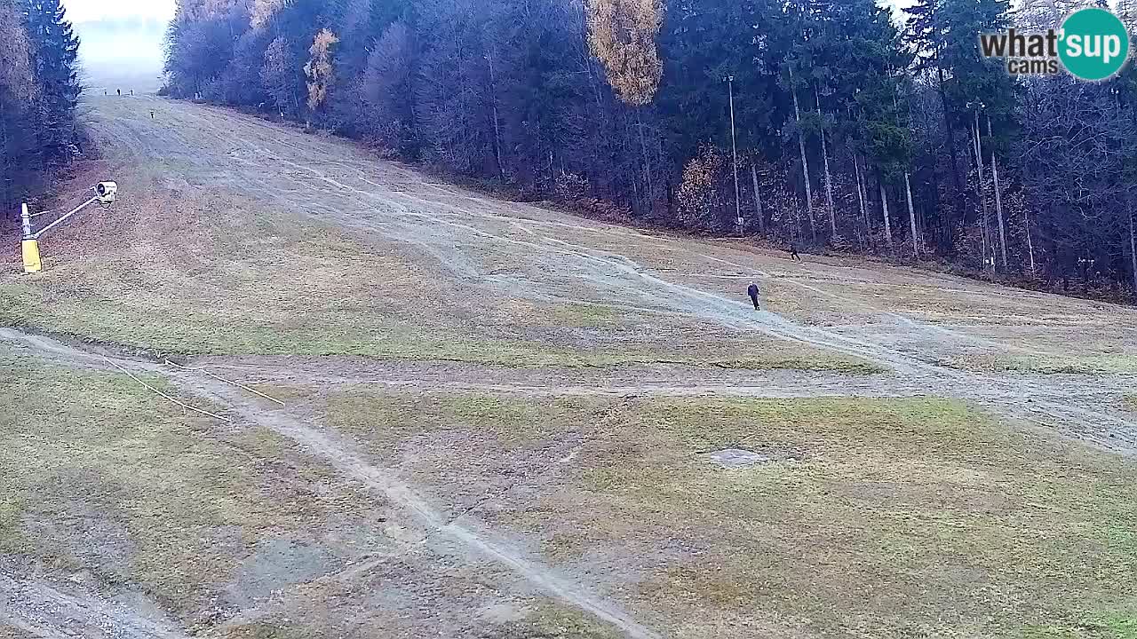 Web Camera Pohorje Trikotna Jasa | Poštela