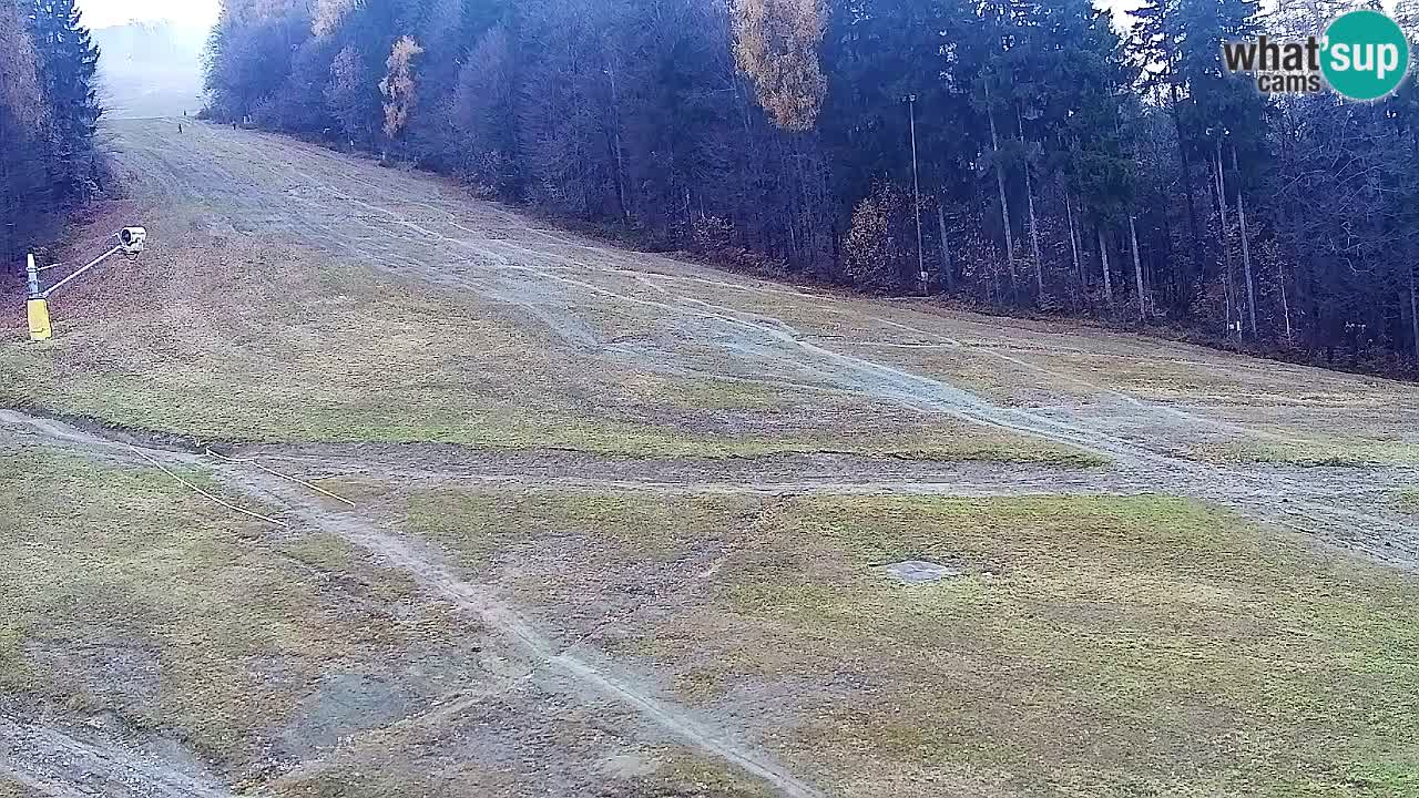 Web Camera Pohorje Trikotna Jasa | Poštela
