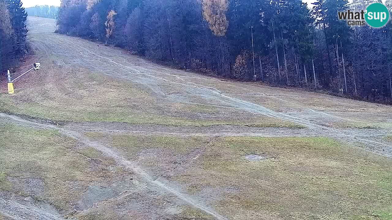 Web kamera Pohorje Trikotna Jasa | Poštela