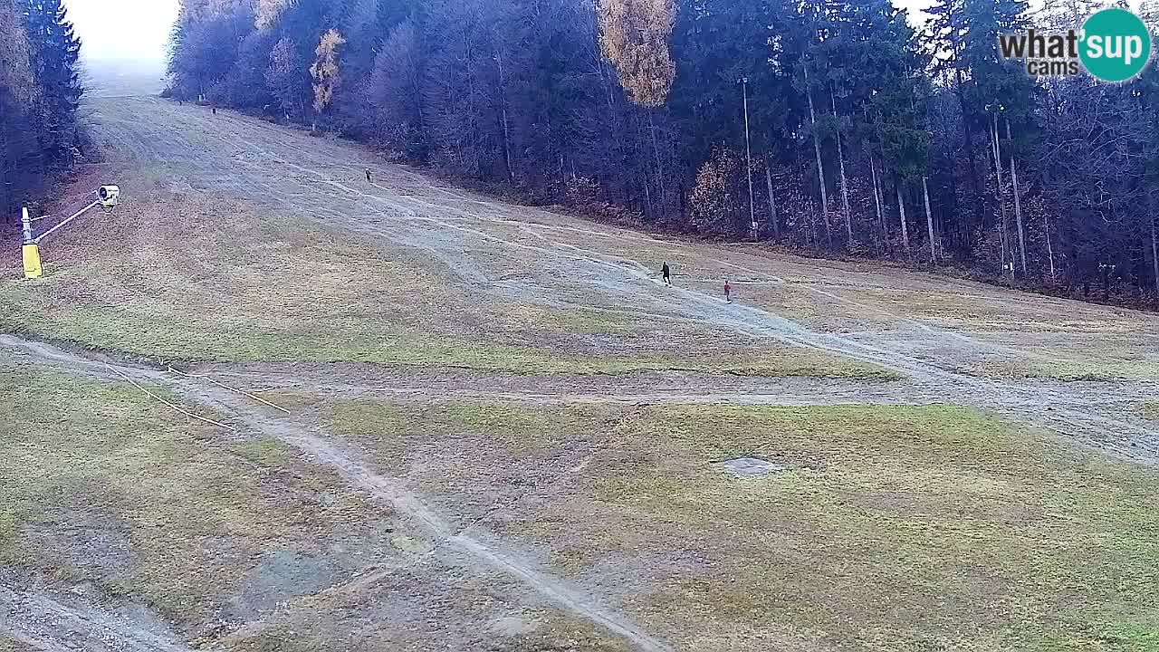 Webcam Pohorje Trikotna Jasa | Poštela