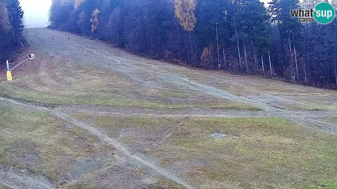 Web kamera Pohorje Trikotna Jasa | Poštela