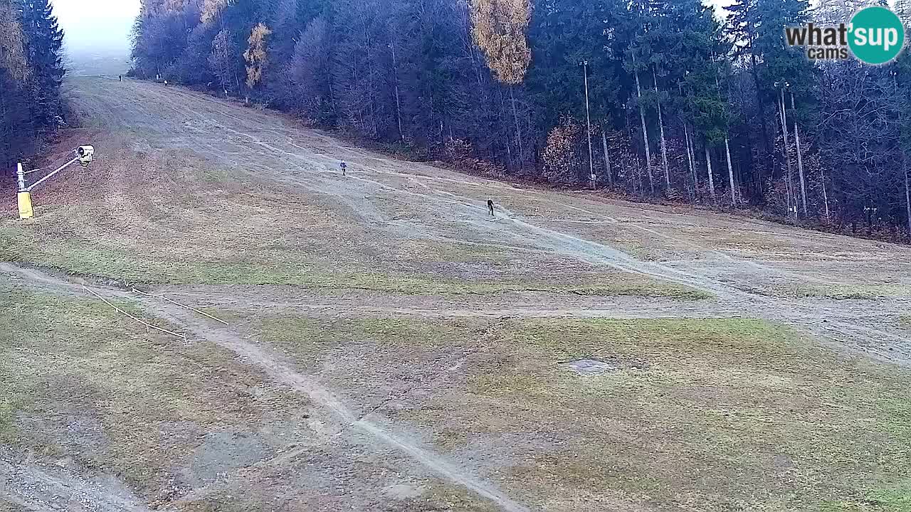 Webcam Pohorje Trikotna Jasa | Poštela