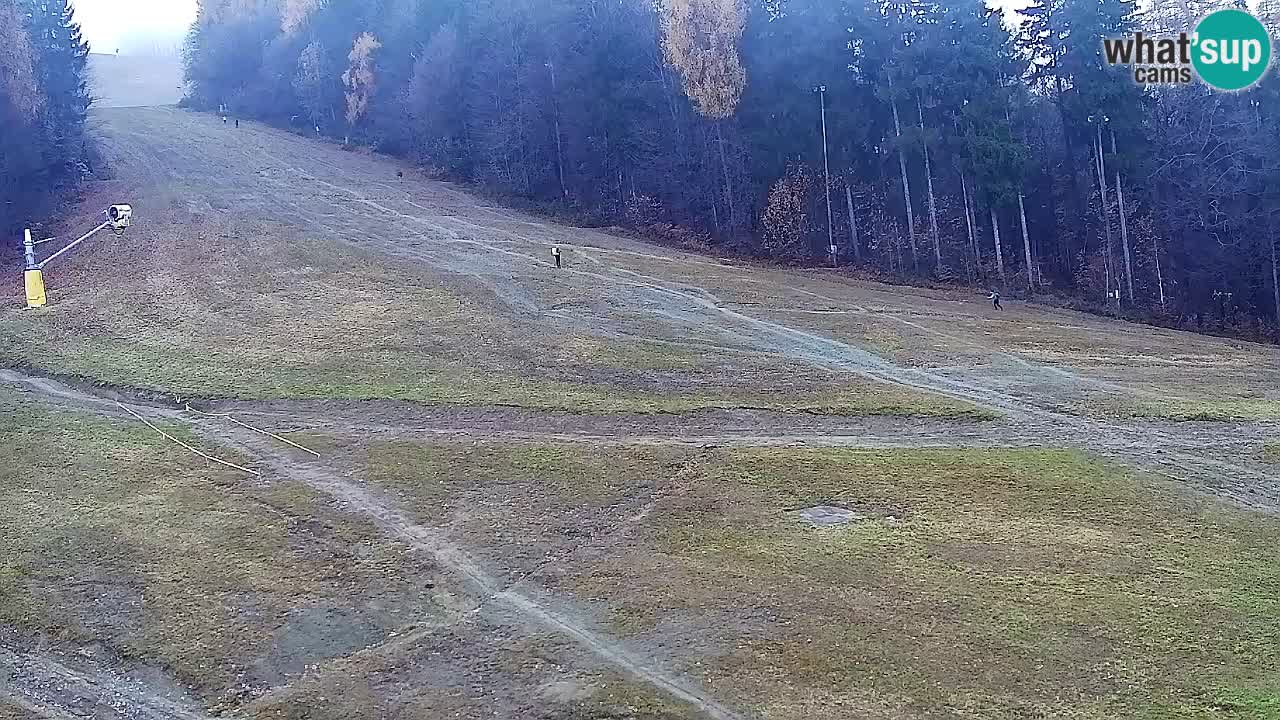 Webcam Pohorje Trikotna Jasa | Poštela