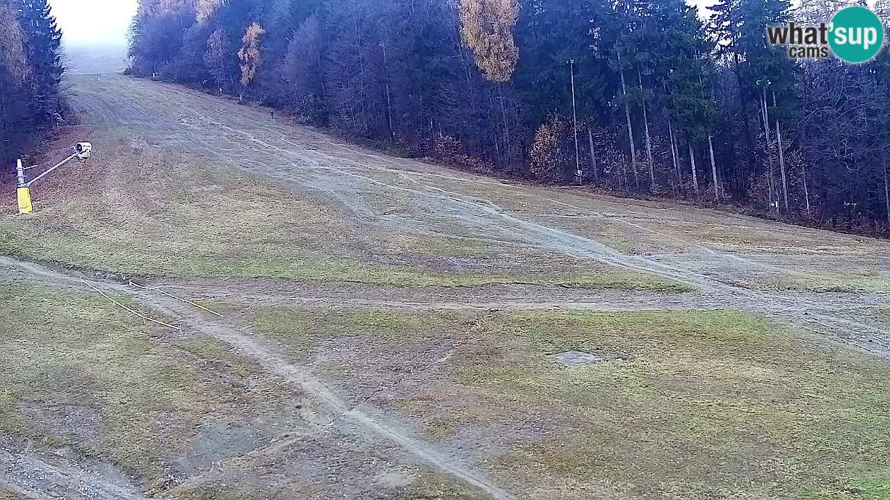 Webcam Pohorje Trikotna Jasa | Poštela