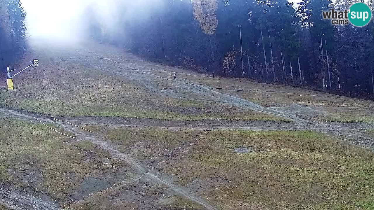 Web Camera Pohorje Trikotna Jasa | Poštela
