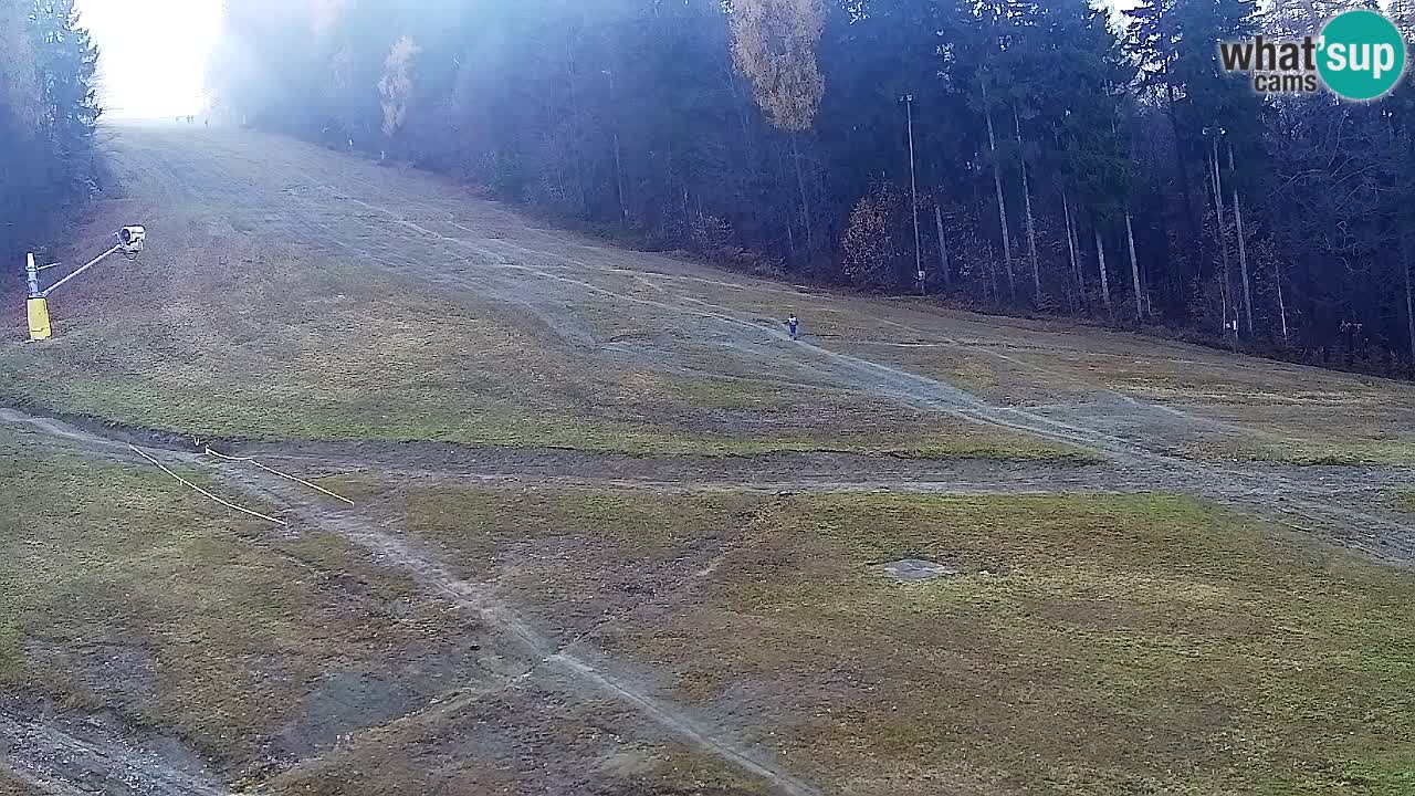 Webcam Pohorje Trikotna Jasa | Poštela