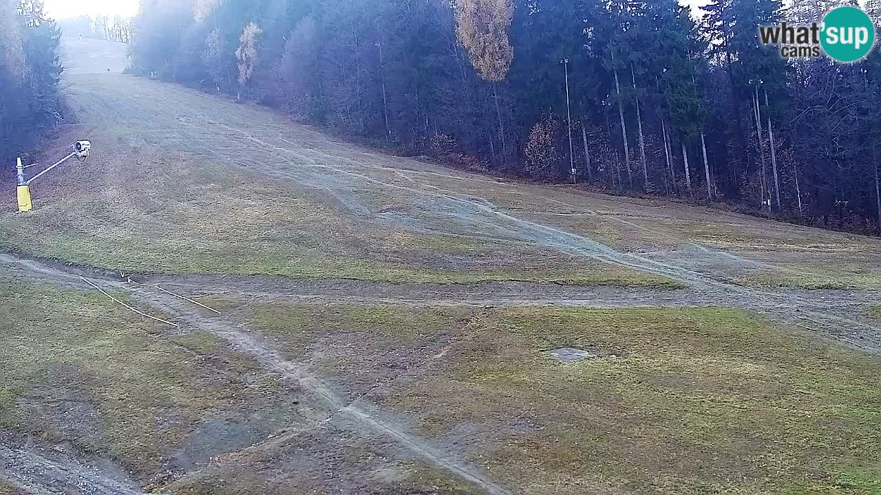 Webcam Pohorje Trikotna Jasa | Poštela