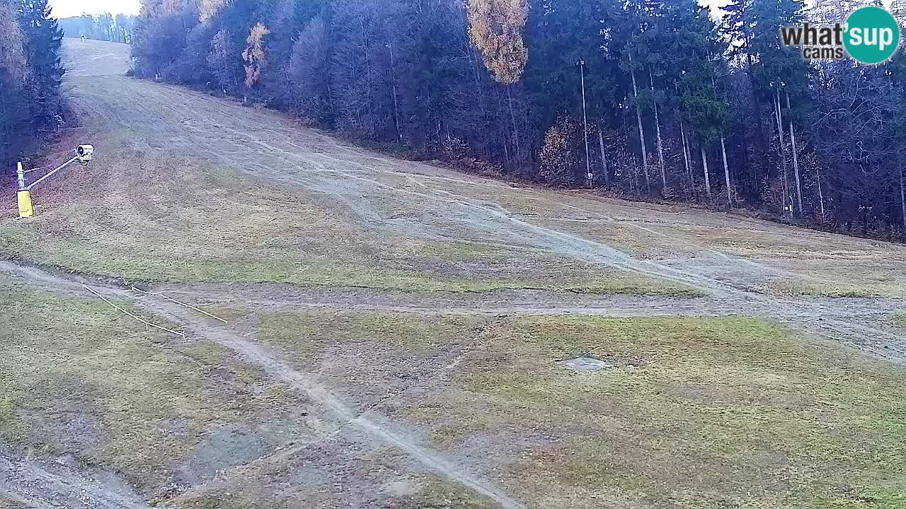 Web Camera Pohorje Trikotna Jasa | Poštela
