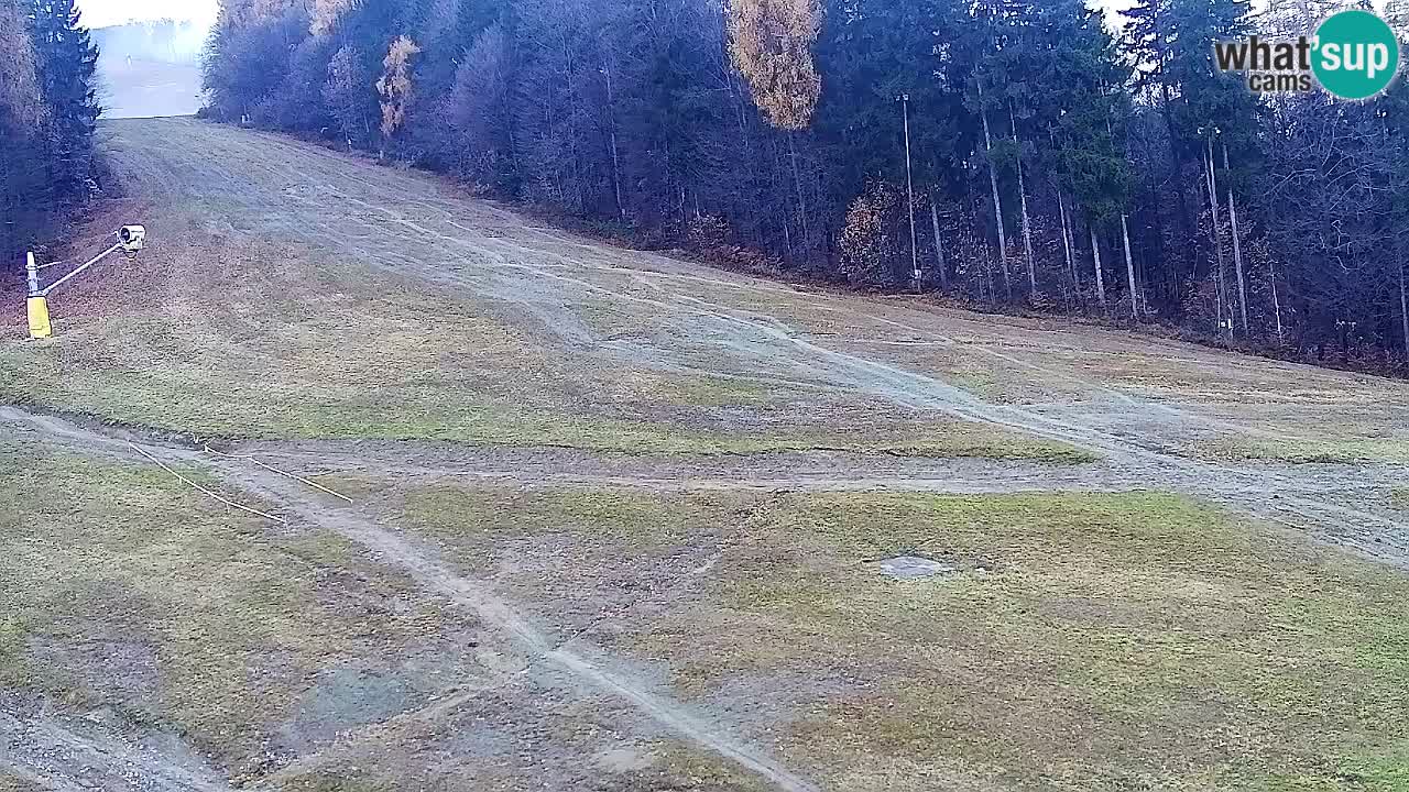 Web Camera Pohorje Trikotna Jasa | Poštela