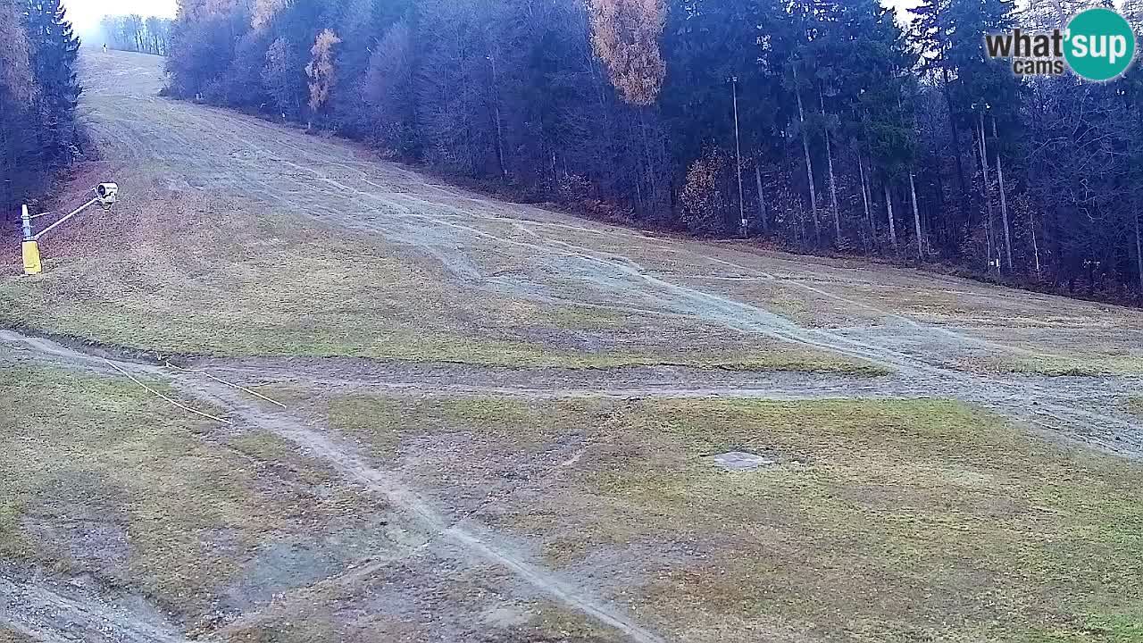 Web Camera Pohorje Trikotna Jasa | Poštela