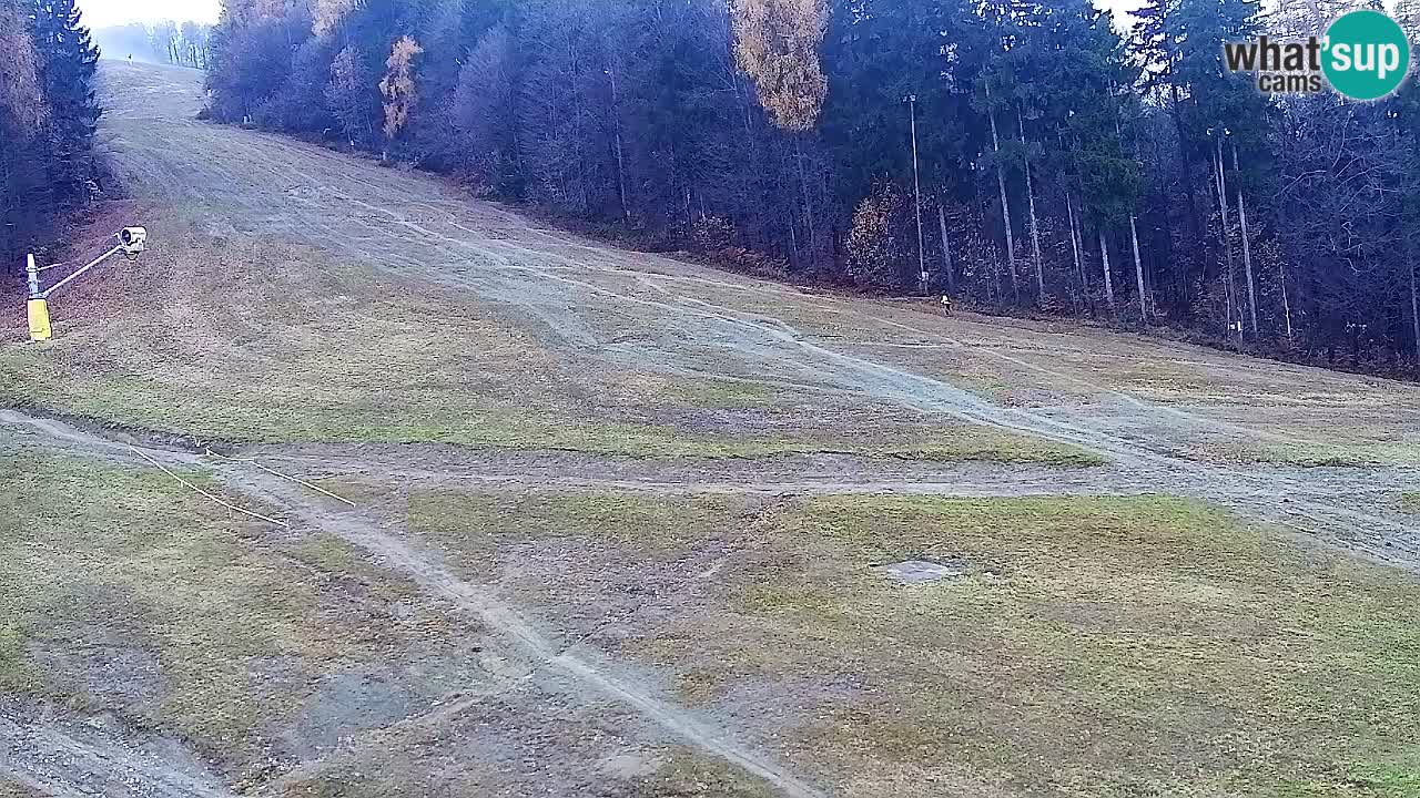 Webcam Pohorje Trikotna Jasa | Poštela
