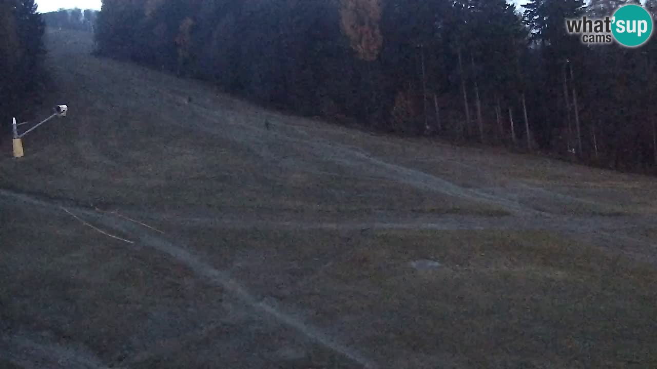 Webcam Pohorje Trikotna Jasa | Poštela