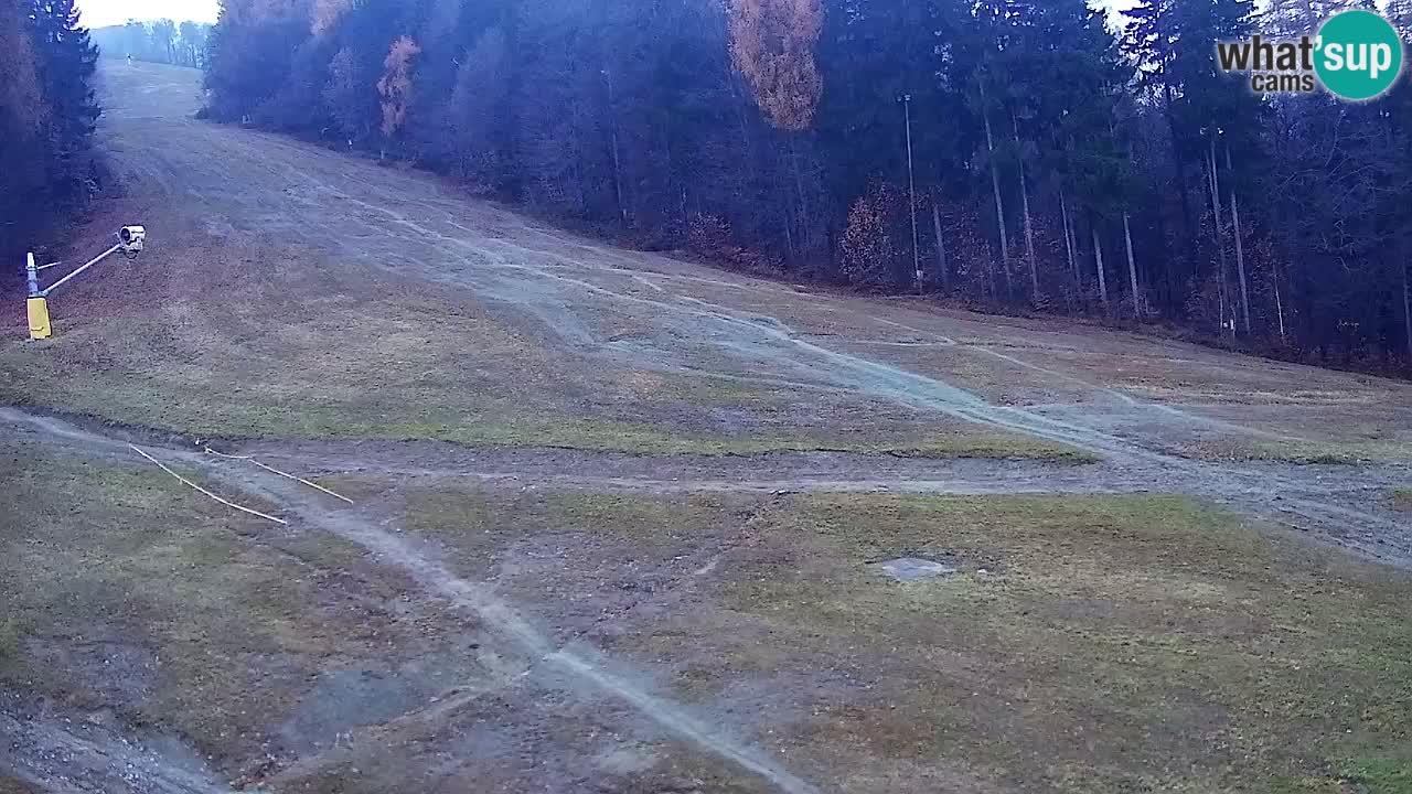 Webcam Pohorje Trikotna Jasa | Poštela