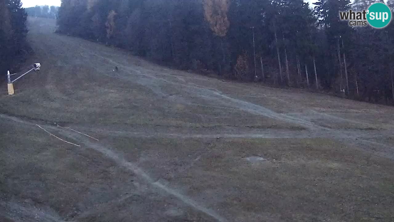 Webcam Pohorje Trikotna Jasa | Poštela