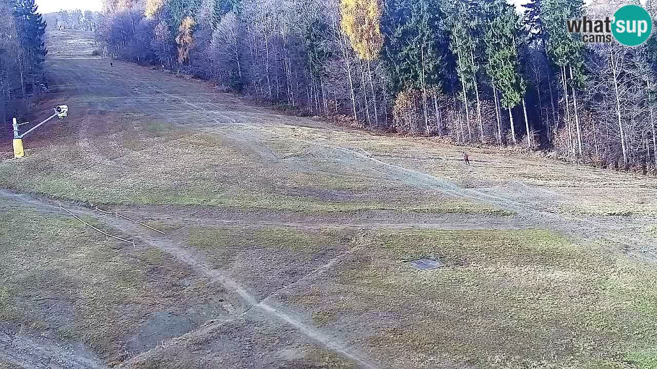 Spletna Kamera Pohorje Trikotna Jasa | Poštela