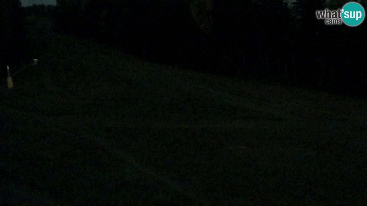 Web Camera Pohorje Trikotna Jasa | Poštela