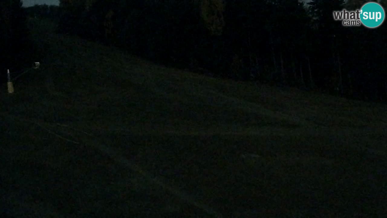 Webcam Pohorje Trikotna Jasa | Poštela