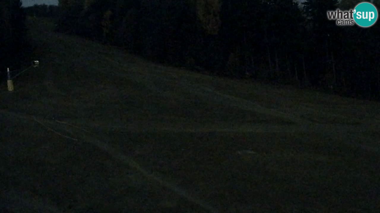 Webcam Pohorje Trikotna Jasa | Poštela