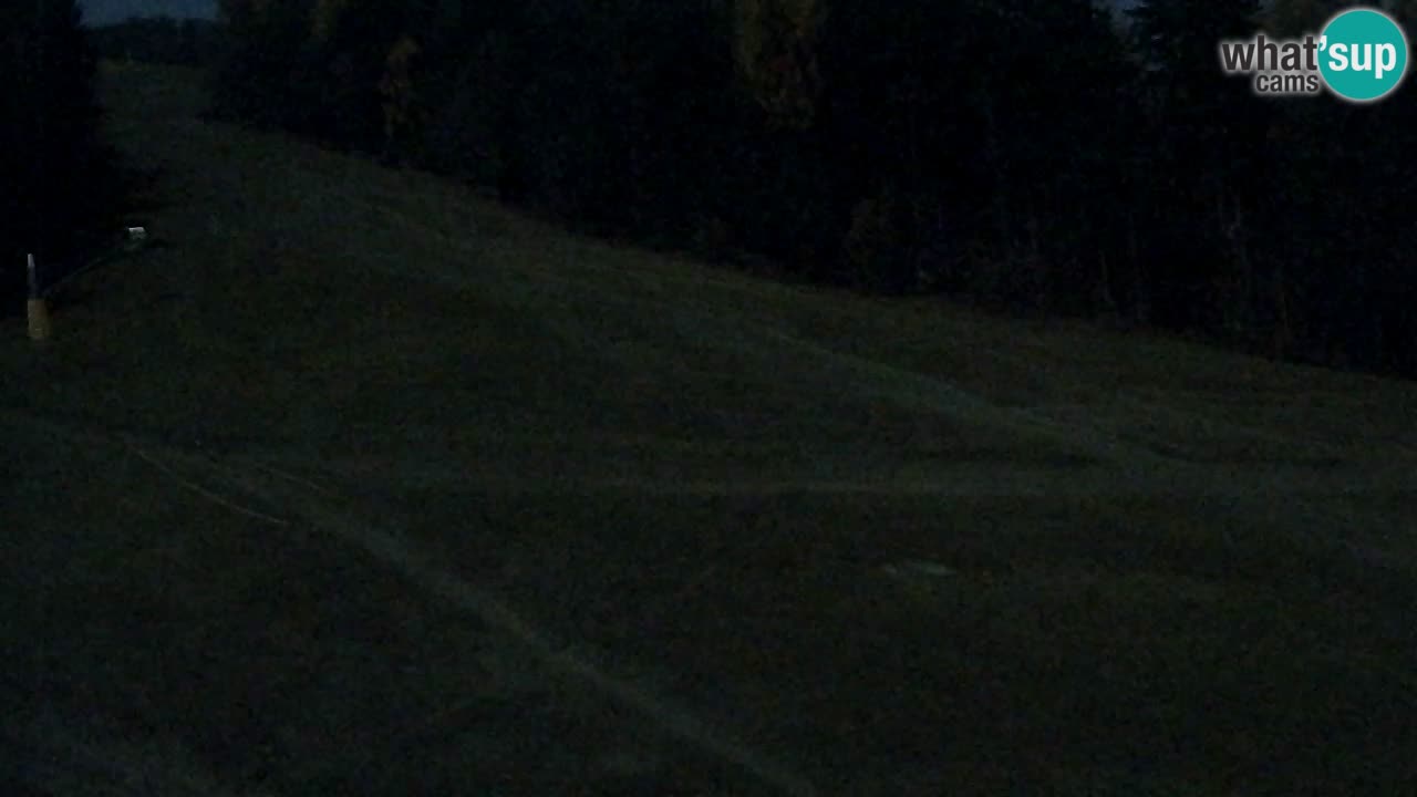 Webcam Pohorje Trikotna Jasa | Poštela