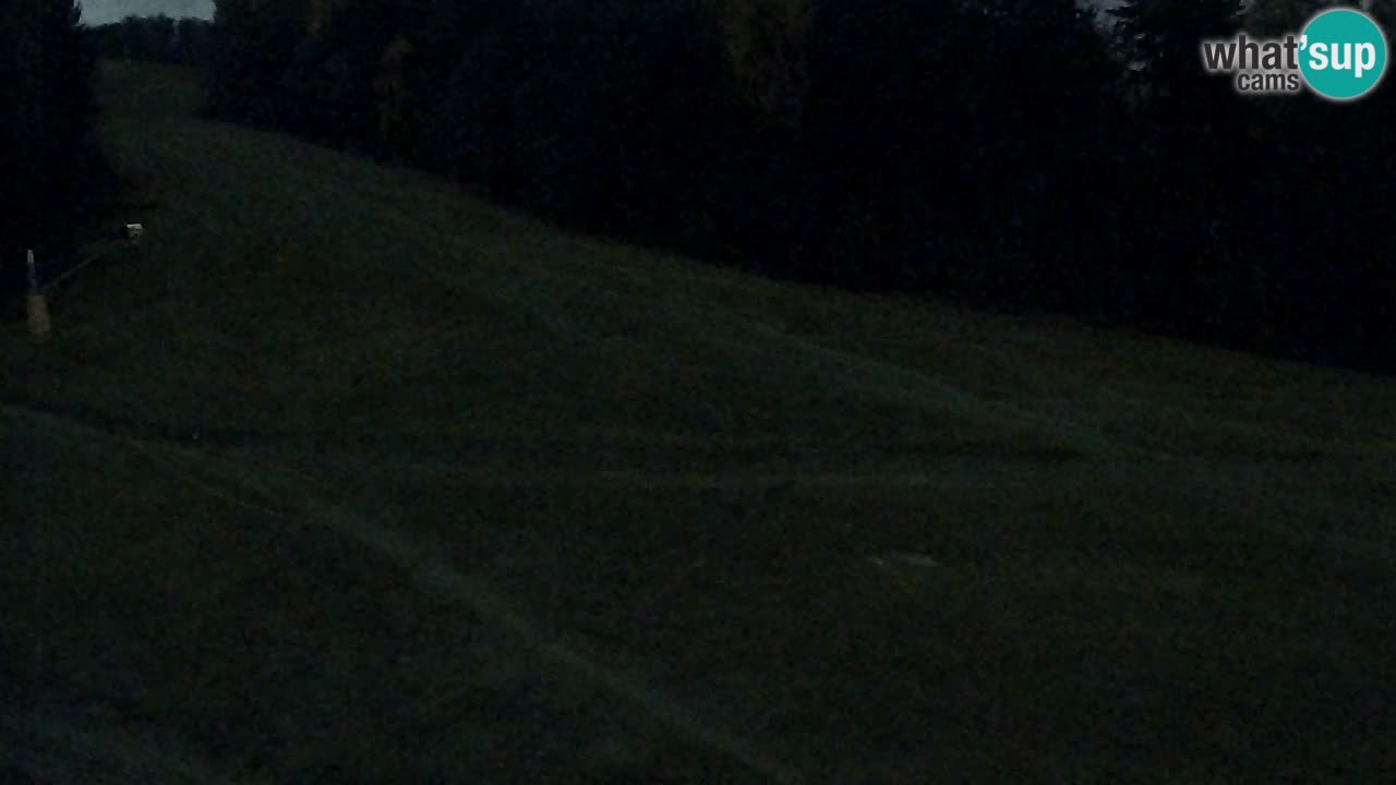 Webcam Pohorje Trikotna Jasa | Poštela