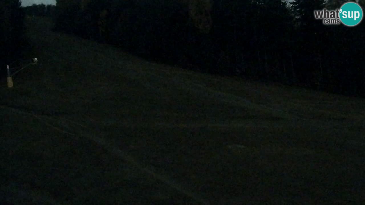 Webcam Pohorje Trikotna Jasa | Poštela