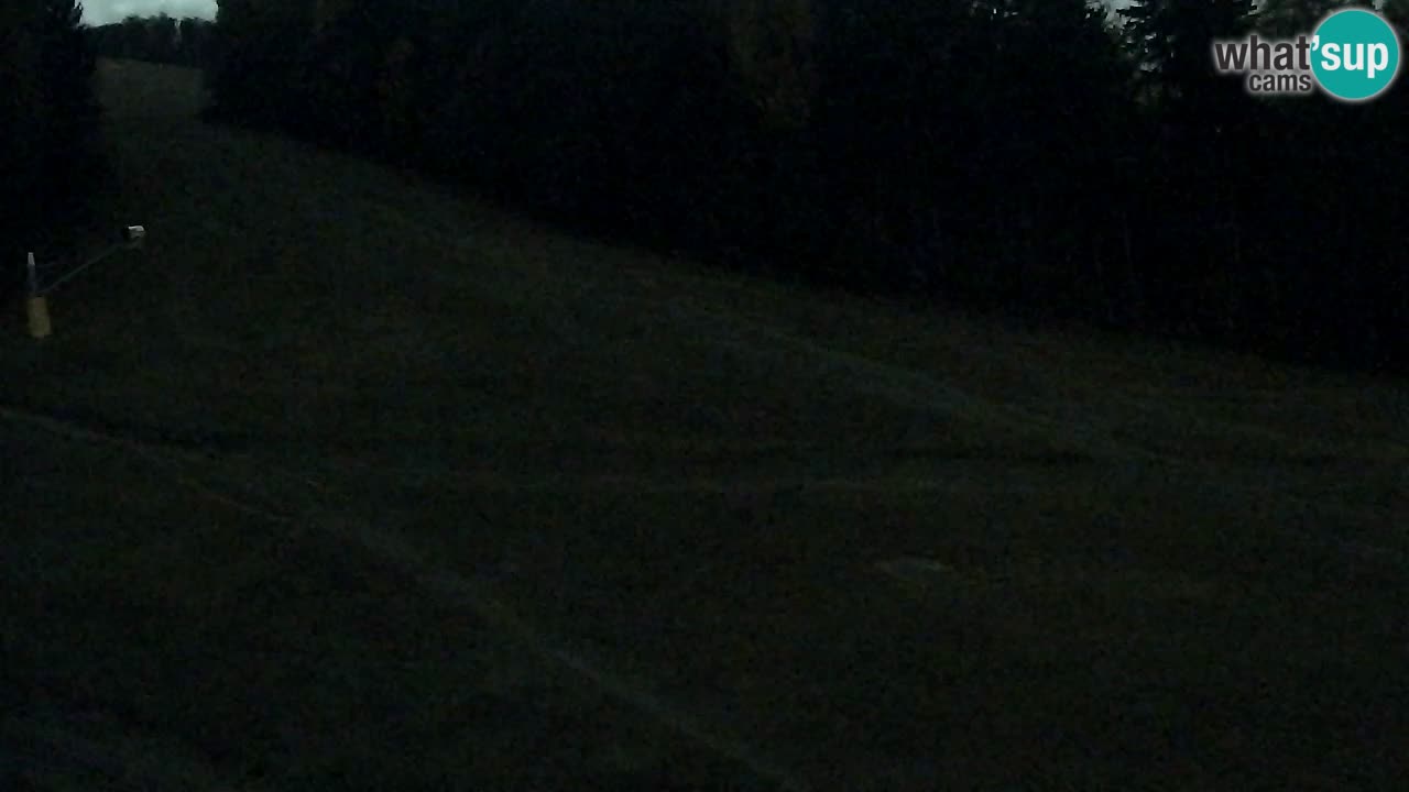 Webcam Pohorje Trikotna Jasa | Poštela