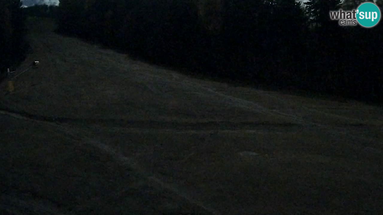 Webcam Pohorje Trikotna Jasa | Poštela