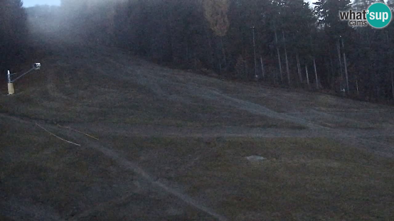 Web Camera Pohorje Trikotna Jasa | Poštela