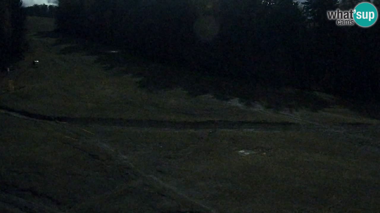 Spletna Kamera Pohorje Trikotna Jasa | Poštela