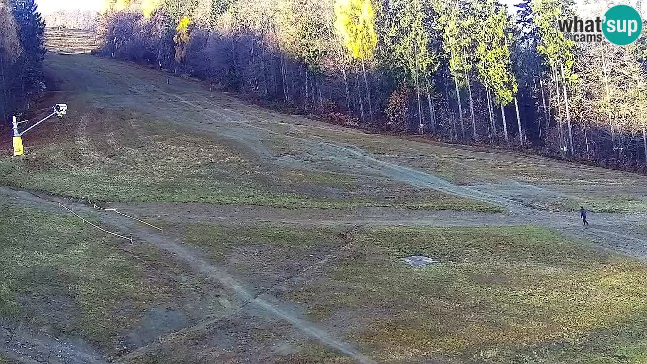 Web Camera Pohorje Trikotna Jasa | Poštela