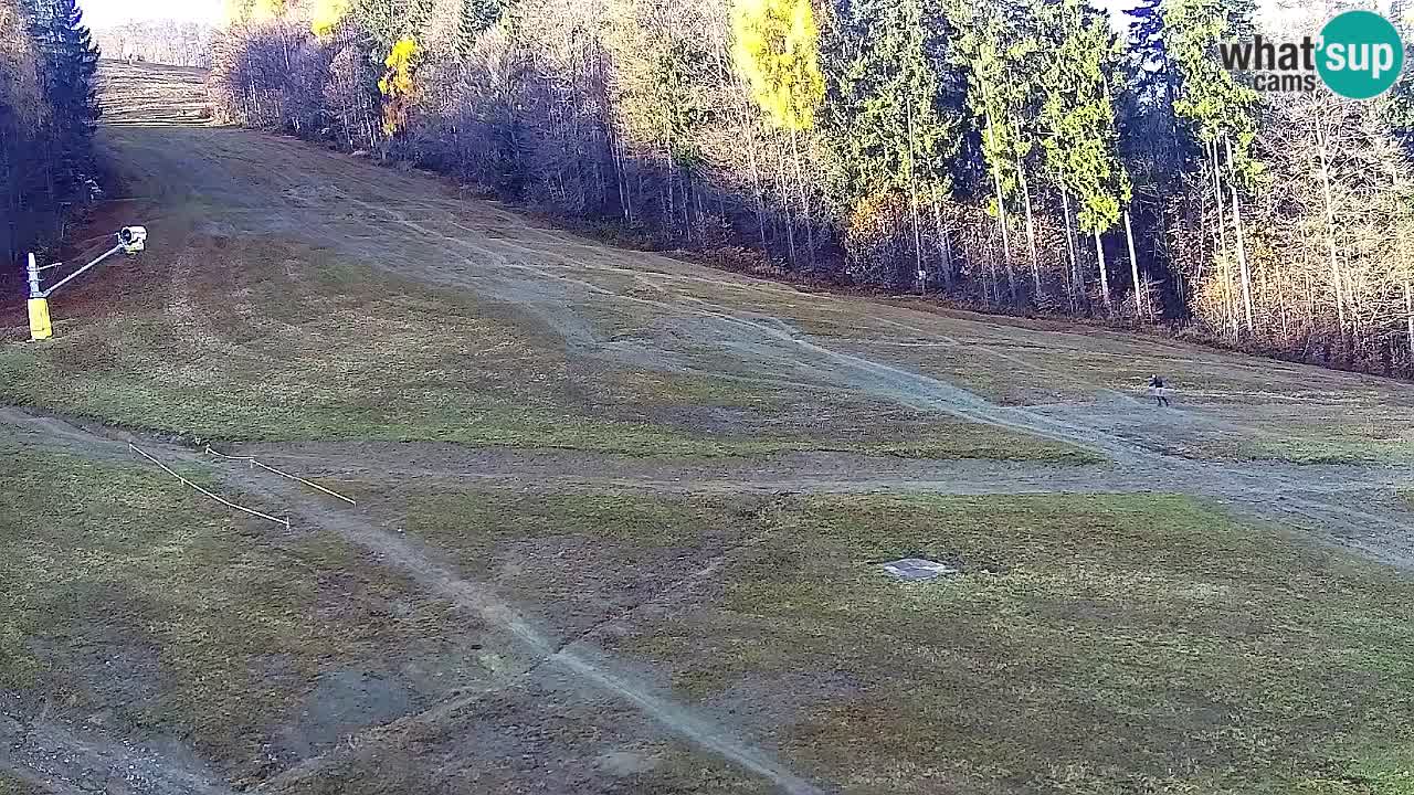 Webcam Pohorje Trikotna Jasa | Poštela