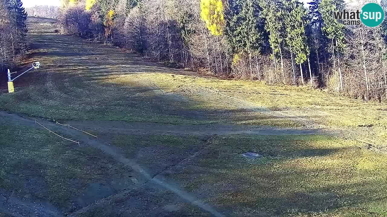 Webcam Pohorje Trikotna Jasa | Poštela