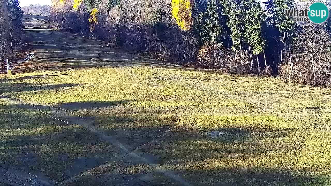 Webcam Pohorje Trikotna Jasa | Poštela