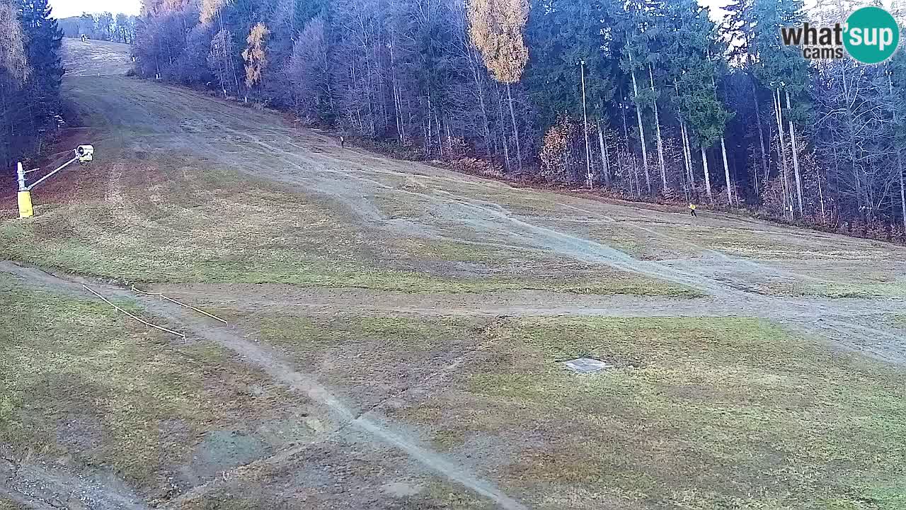 Webcam Pohorje Trikotna Jasa | Poštela